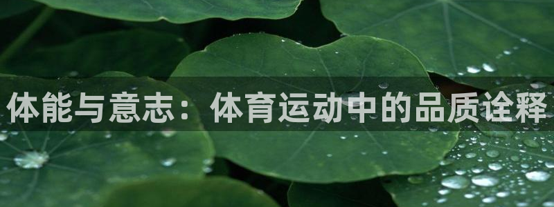 xc体育