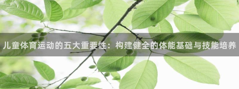 xc体育