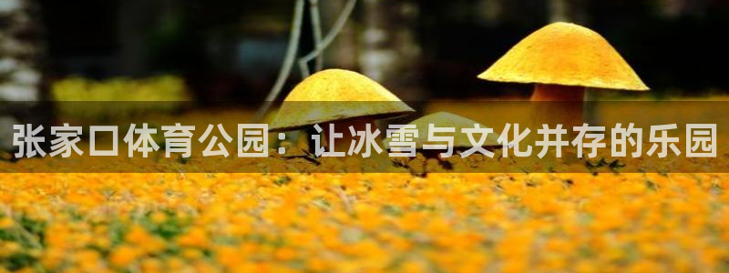 xc体育app官方网站：张家口体育公园：让冰雪与文化并存的乐园
