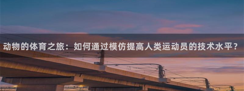 xc体育