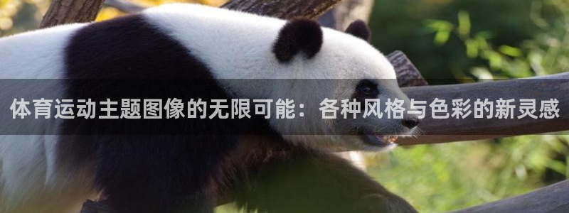 xc体育app官方网站：体育运动主题图像的无限可能：各种风格与色彩的新灵感