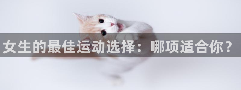 xc体育