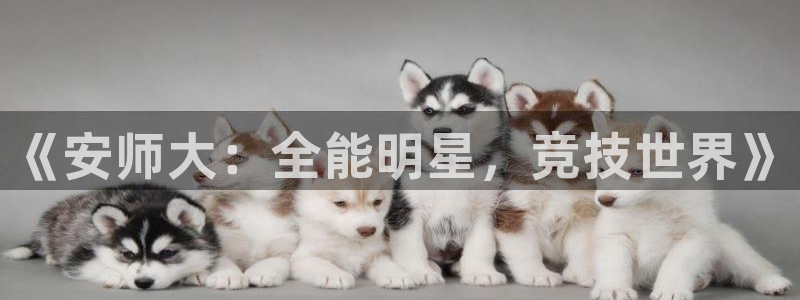 xc体育：《安师大：全能明星，竞技世界》