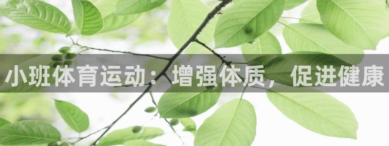 xc体育app官方网站：小班体育运动：增强体质，促进健康