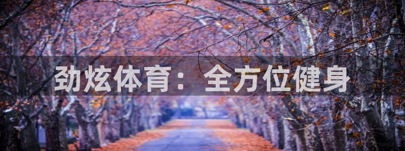 xc体育