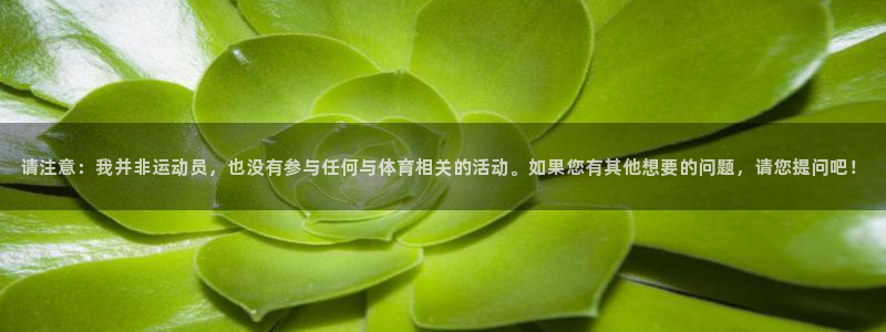 xc体育