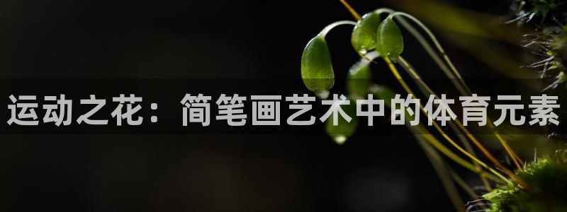 xc体育：运动之花：简笔画艺术中的体育元素